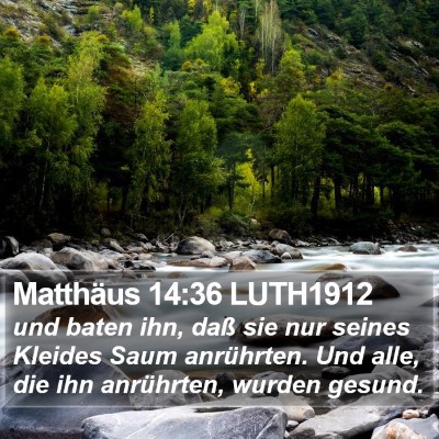 Matthäus 14:36 LUTH1912 Bible Verse Image