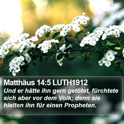 Matthäus 14:5 LUTH1912 Bible Verse Image