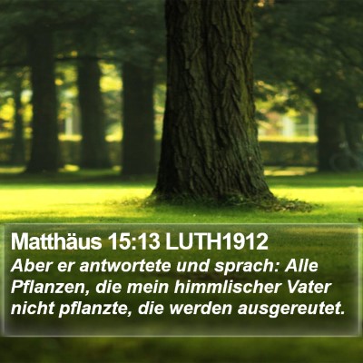 Matthäus 15:13 LUTH1912 Bible Verse Image