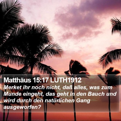 Matthäus 15:17 LUTH1912 Bible Verse Image