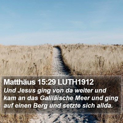 Matthäus 15:29 LUTH1912 Bible Verse Image