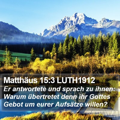 Matthäus 15:3 LUTH1912 Bible Verse Image