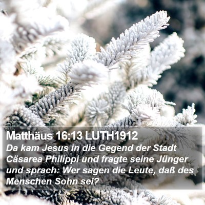 Matthäus 16:13 LUTH1912 Bible Verse Image