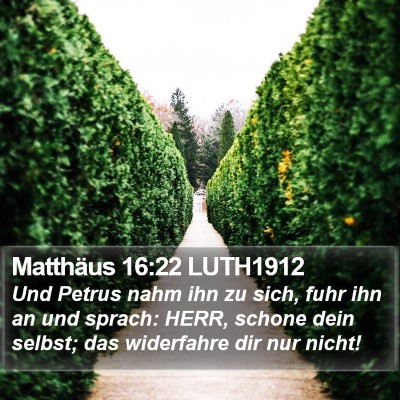 Matthäus 16:22 LUTH1912 Bible Verse Image