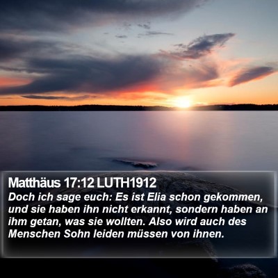 Matthäus 17:12 LUTH1912 Bible Verse Image