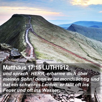 Matthäus 17:15 LUTH1912 Bible Verse Image