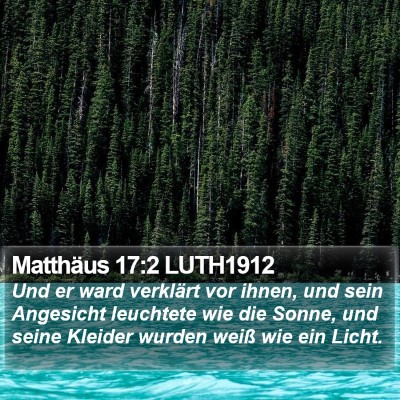 Matthäus 17:2 LUTH1912 Bible Verse Image