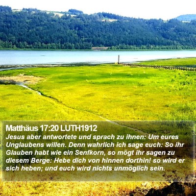 Matthäus 17:20 LUTH1912 Bible Verse Image