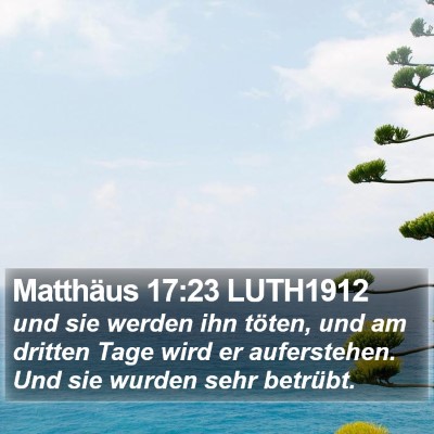 Matthäus 17:23 LUTH1912 Bible Verse Image