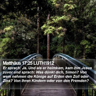 Matthäus 17:25 LUTH1912 Bible Verse Image