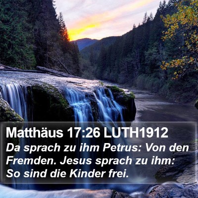 Matthäus 17:26 LUTH1912 Bible Verse Image