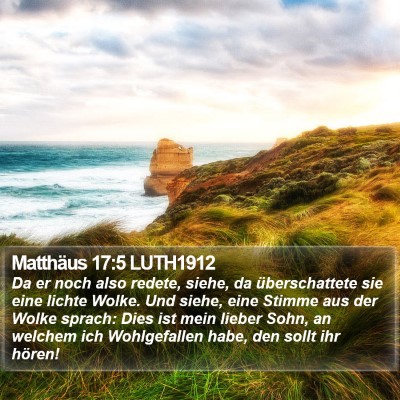 Matthäus 17:5 LUTH1912 Bible Verse Image
