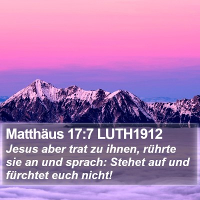 Matthäus 17:7 LUTH1912 Bible Verse Image