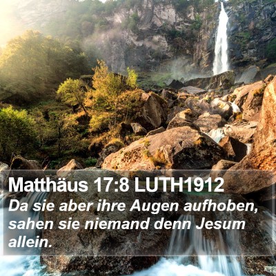 Matthäus 17:8 LUTH1912 Bible Verse Image