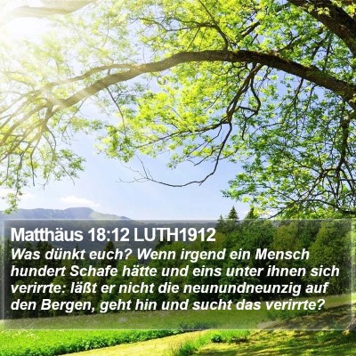 Matthäus 18:12 LUTH1912 Bible Verse Image