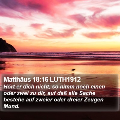 Matthäus 18:16 LUTH1912 Bible Verse Image
