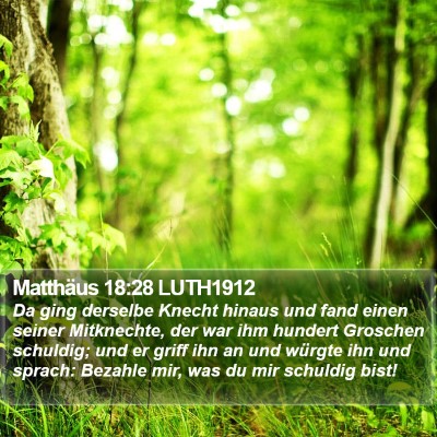 Matthäus 18:28 LUTH1912 Bible Verse Image