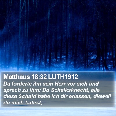 Matthäus 18:32 LUTH1912 Bible Verse Image