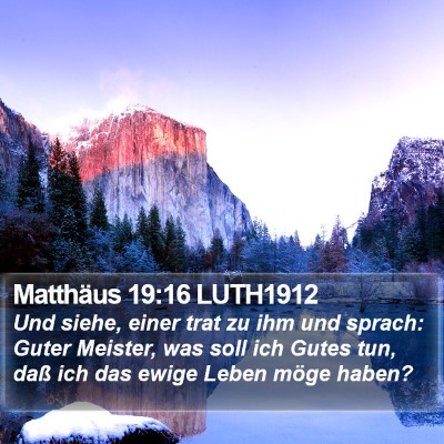 Matthäus 19:16 LUTH1912 Bible Verse Image