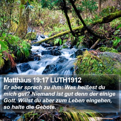 Matthäus 19:17 LUTH1912 Bible Verse Image