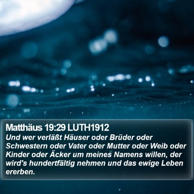 Matthäus 19:29 LUTH1912 Bible Verse Image