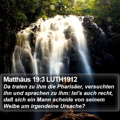 Matthäus 19:3 LUTH1912 Bible Verse Image