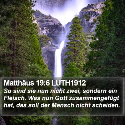 Matthäus 19:6 LUTH1912 Bible Verse Image