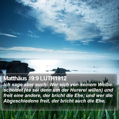 Matthäus 19:9 LUTH1912 Bible Verse Image
