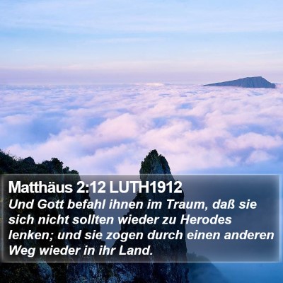 Matthäus 2:12 LUTH1912 Bible Verse Image