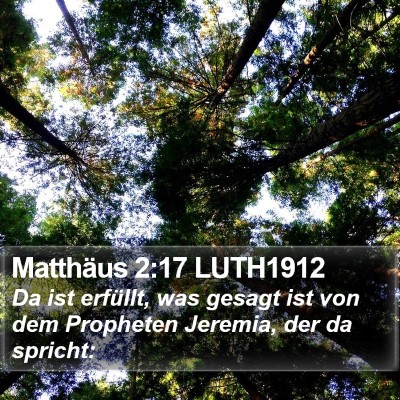 Matthäus 2:17 LUTH1912 Bible Verse Image