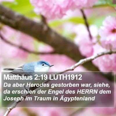 Matthäus 2:19 LUTH1912 Bible Verse Image
