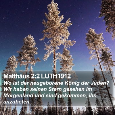 Matthäus 2:2 LUTH1912 Bible Verse Image