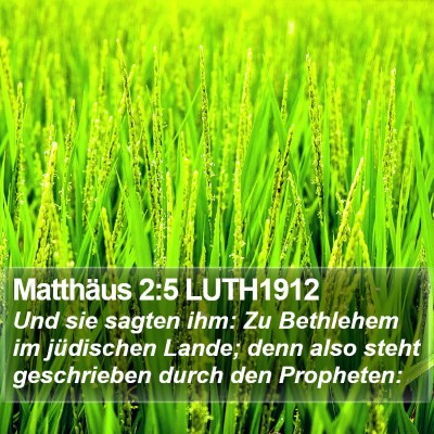 Matthäus 2:5 LUTH1912 Bible Verse Image