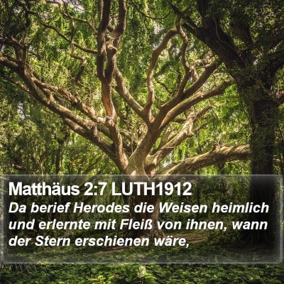 Matthäus 2:7 LUTH1912 Bible Verse Image