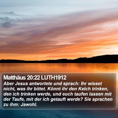 Matthäus 20:22 LUTH1912 Bible Verse Image
