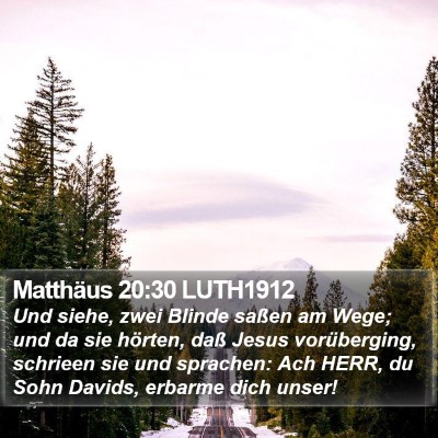 Matthäus 20:30 LUTH1912 Bible Verse Image