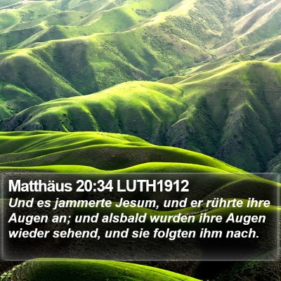 Matthäus 20:34 LUTH1912 Bible Verse Image