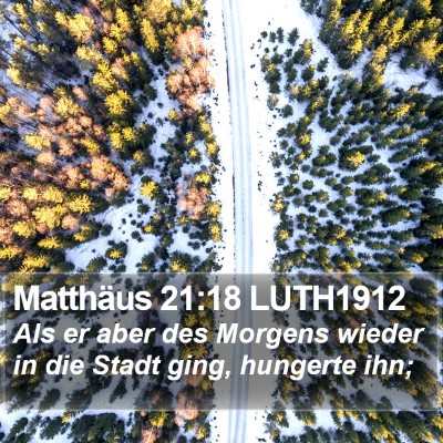 Matthäus 21:18 LUTH1912 Bible Verse Image