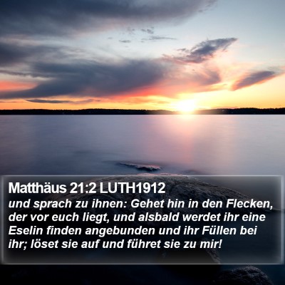 Matthäus 21:2 LUTH1912 Bible Verse Image