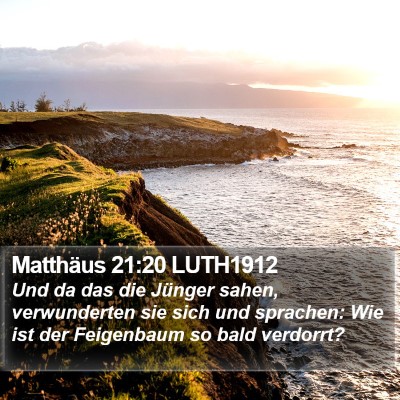 Matthäus 21:20 LUTH1912 Bible Verse Image