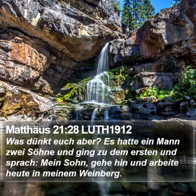 Matthäus 21:28 LUTH1912 Bible Verse Image