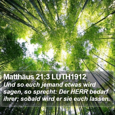 Matthäus 21:3 LUTH1912 Bible Verse Image
