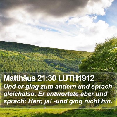 Matthäus 21:30 LUTH1912 Bible Verse Image