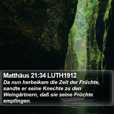 Matthäus 21:34 LUTH1912 Bible Verse Image