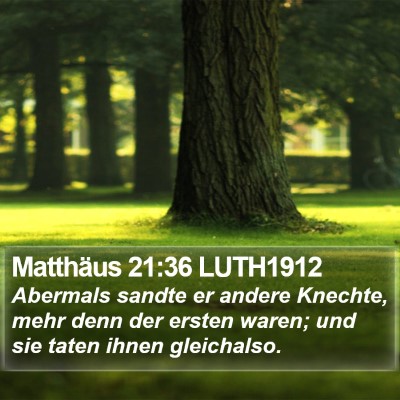 Matthäus 21:36 LUTH1912 Bible Verse Image