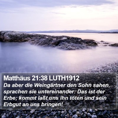 Matthäus 21:38 LUTH1912 Bible Verse Image