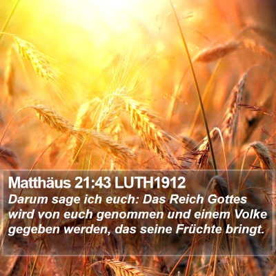 Matthäus 21:43 LUTH1912 Bible Verse Image