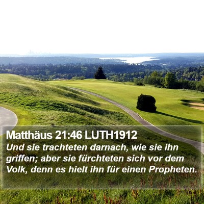 Matthäus 21:46 LUTH1912 Bible Verse Image