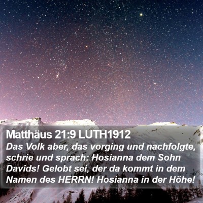 Matthäus 21:9 LUTH1912 Bible Verse Image