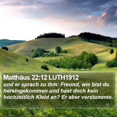 Matthäus 22:12 LUTH1912 Bible Verse Image